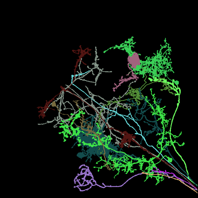 ground truth instance segmentation for VT058568-20170926_64_E1